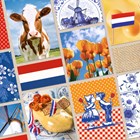 collage holland